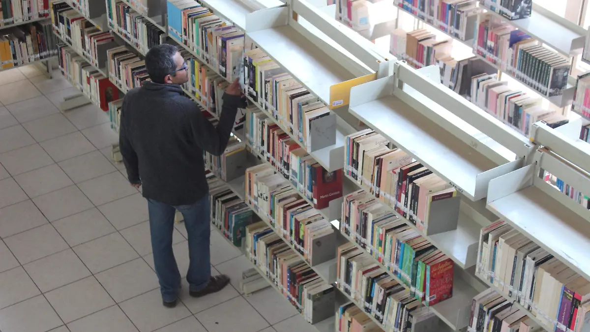 biblioteca tolentino. olga casas (16)